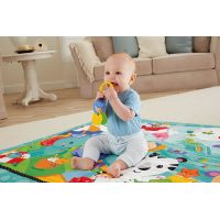 Fisher Price hrací dečka Jumbo 6