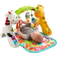 Fisher Price Hrazdička s dečkou 5