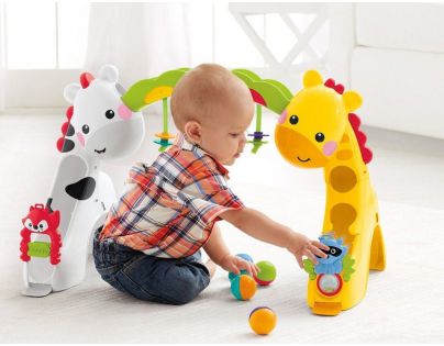 Fisher Price Hrazdička s dečkou
