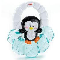 FISHER PRICE R6449 Kousátka 2