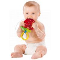 FISHER PRICE R6449 Kousátka 5