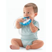 FISHER PRICE R6449 Kousátka 6