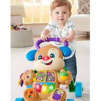 Fisher Price lnl chodítko psík - Poškodený obal 2