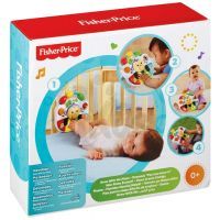 Fisher Price piano rostoucí s dítětem (Fisher Price BFH64) 6