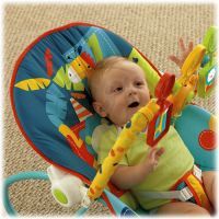 Fisher Price X7044 - Sedátko od Miminka po Batole 4