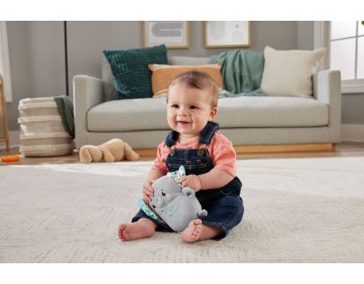 Fisher Price Upokojujúci hrajúci slon 15 cm