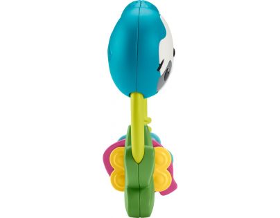 Fisher Price zvieracie hrkálky 13 cm leňochod
