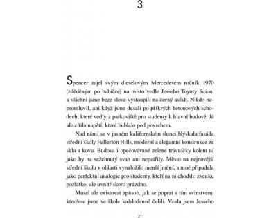 Nie som žiadna bláznivá baba Gretchen McNeil CZ