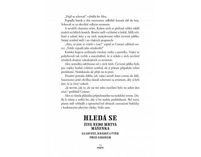 Fragment Země příběhů Kouzelné přání Bestseller CZ verzia