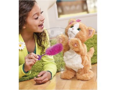 Furreal Friends Kočička Daisy