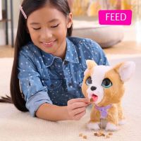Furreal Friends Poop-a-Lots Corgi - Poškodený obal 5