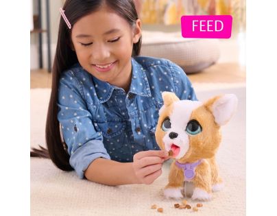 Furreal Friends Poop-a-Lots Corgi - Poškodený obal