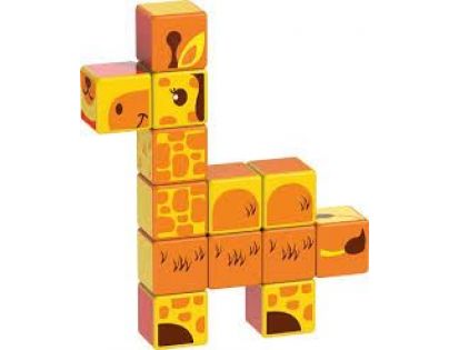 Magicube Safari