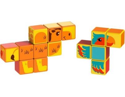 Magicube Safari