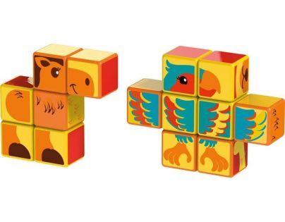 Magicube Safari