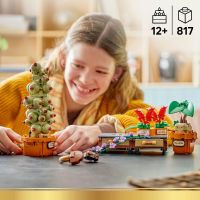LEGO® Harry Potter™ 76474 Rastliny z hodiny bylinkárstva v Bradaviciach 3