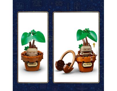 LEGO® Harry Potter™ 76474 Rastliny z hodiny bylinkárstva v Bradaviciach