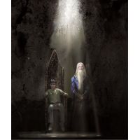 Albatros Harry Potter a Fénixův řád Ilustrované vydání J. K. Rowlingová CZ verzia - Poškodený obal 3