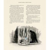 Albatros Harry Potter a Ohnivý pohár Ilustrované vydání J. K. Rowlingová CZ verzia 4