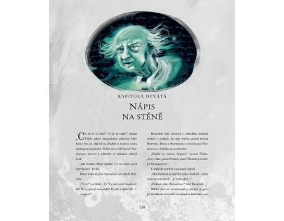 Albatros Harry Potter a Tajemná komnata ilustrované vydání J. K. Rowlingová