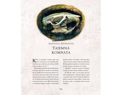 Albatros Harry Potter a Tajemná komnata ilustrované vydání J. K. Rowlingová