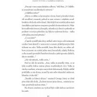 Albatros Harry Potter a Tajemná komnata J. K. Rowlingová CZ verzia 2