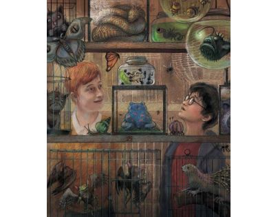 Albatros Harry Potter a vězeň z Azkabanu Ilustrované vydání J. K. Rowlingová - Poškodený obal