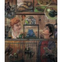 Albatros Harry Potter a vězeň z Azkabanu Ilustrované vydání J. K. Rowlingová - Poškodený obal 2