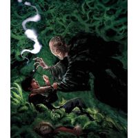 Albatros Harry Potter a vězeň z Azkabanu Ilustrované vydání J. K. Rowlingová - Poškodený obal 6