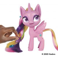 Hasbro My Little Pony Farebná hriva Princess Cadance 5