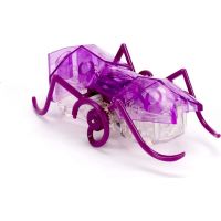 Hexbug Micro Ant fialový