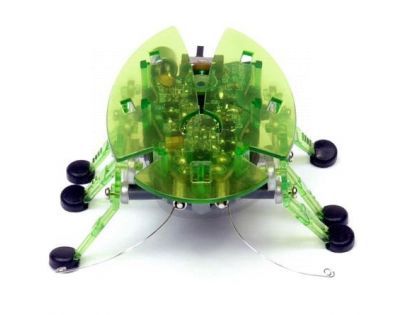 Hexbug Ploštice - Zelená