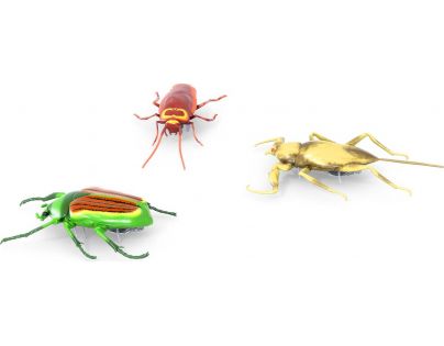 Hexbug Real Bugs 3 Pack