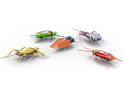 Hexbug Real Bugs 5 Pack