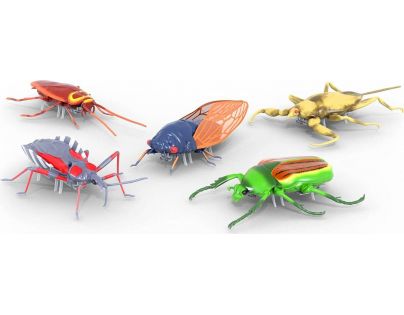 Hexbug Real Bugs 5 Pack