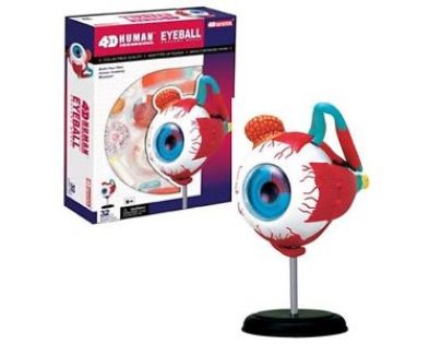 HM Studio Anatomie člověka oko - Poškodený obal
