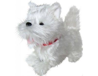 HM Studio Chodiaci psík Westie