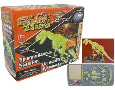 HM STUDIO Kostra tyranosaurus