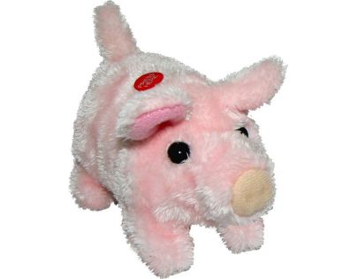 Hm Studio Prasiatko Pepík