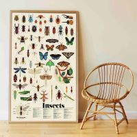 Poppik Samolepkový plagát vzdelávací Hmyz 2