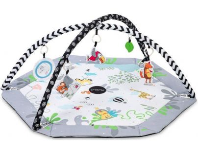 MoMi Hracia deka Besto