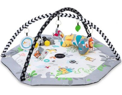 MoMi Hracia deka Besto