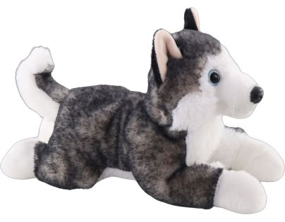 Husky ležiaci 26 cm
