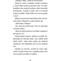 Hvězdy fotbalového hřiště - Messi 3