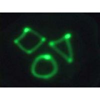 Inteligentní plastelína Černé světlo - přívěšek 3