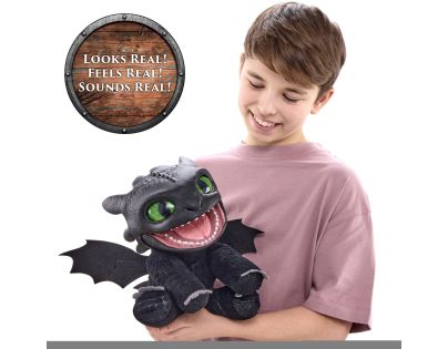 Ako vycvičiť draka FX Interaktívny plyšák - Bezzubka