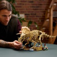 LEGO® Jurassic World 77985 Dinosaurie fosílie: Triceratops 4
