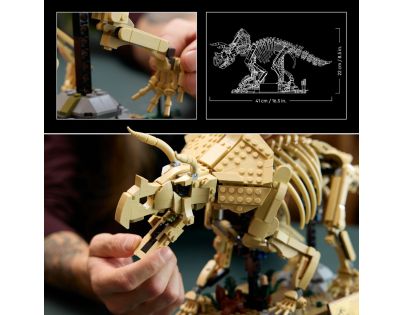 LEGO® Jurassic World 77985 Dinosaurie fosílie: Triceratops