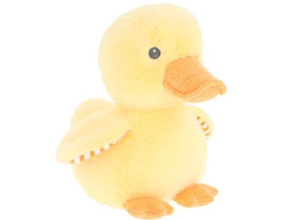 Kačiatko chlpaté 25 cm