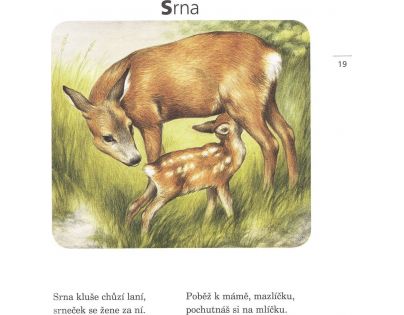 Fragment Kamarádi zvířátka CZ verzia